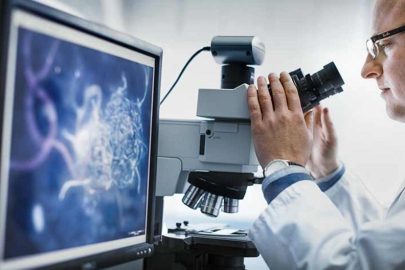 Bilimsel araştırma geliştirme hizmetleri revaçta