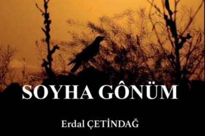 YOZGAT ŞİVESİYLE YAZILAN İLK ŞİİR KİTABI:  “SOYHA GÖNÜM”
