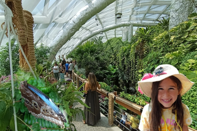 Konya'nın tropikal turizm yıldızı... 2025'te de ziyaretçi akınına uğradı