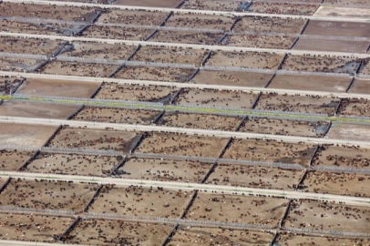 Endüstriyel hayvancılık küresel iklim hedeflerini tehdit ediyor