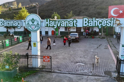 Giresun Hayvan Barınağı 2025’e damga vurdu