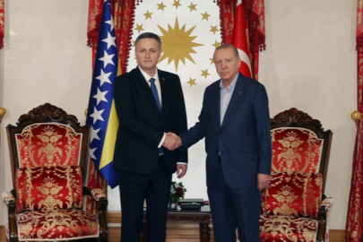 Cumhurbaşkanı Erdoğan, Beçiroviç'i Dolmabahçe'de ağırladı