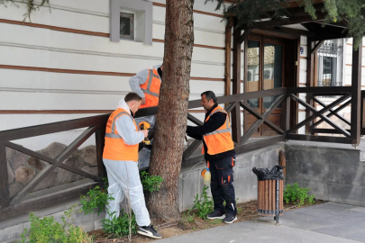 Kayseri Talas'tan çevre dostu ilaçlama atağı