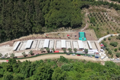 Bursa Gemlik’te sahipsiz hayvanlara modern yaşam alanı