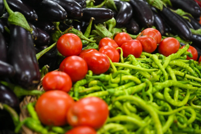 İzmir Bornova’da yerel tarım dayanışmayla güçleniyor